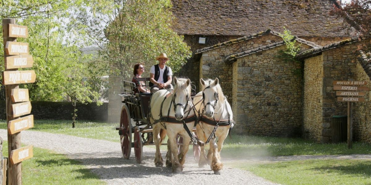 Tour en calèche - Visites en Périgord