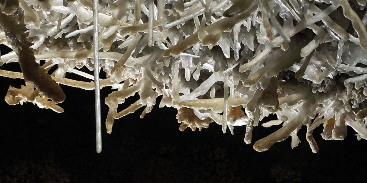 Grotte de Maxange dans le Périgord - Visites en Périgord